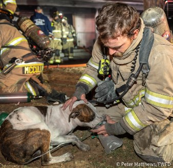 Fort Worth Firefighters Rescue Pets in United Riverside Home Fire; One Person Injured, Nine Displaced and Two Pets Dead