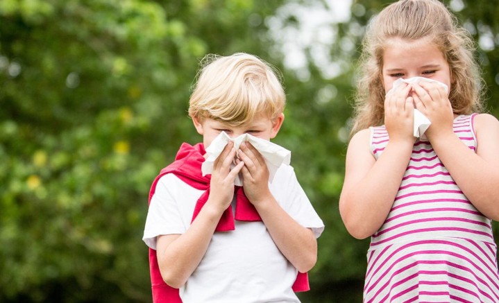 Pest Control for Allergen Prevention: Effective Strategies to Improve Indoor Air Quality