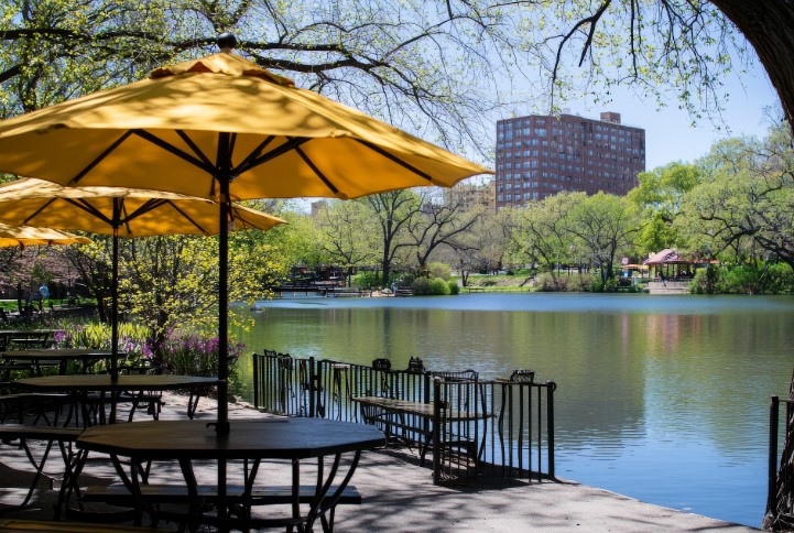 Uncovering the Benefits of Commercial Umbrellas for Your Business