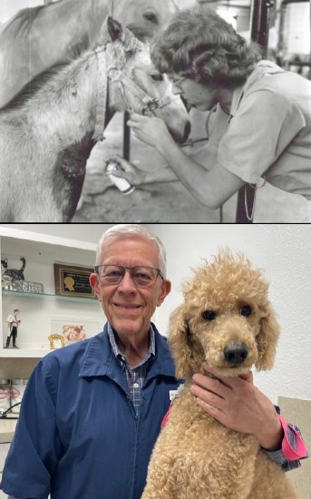 Irving Veterinarian Dr. Michael Burkett Celebrates 50 Years of Caring for Animals