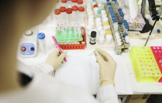 Choosing Between Monoclonal and Polyclonal Antibodies for Your Experiments