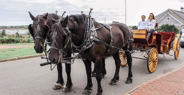 A Daydream on Wheels: A Horse Carriage Ride with Afternoon Cream Tea