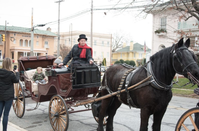 A Daydream on Wheels: A Horse Carriage Ride with Afternoon Cream Tea