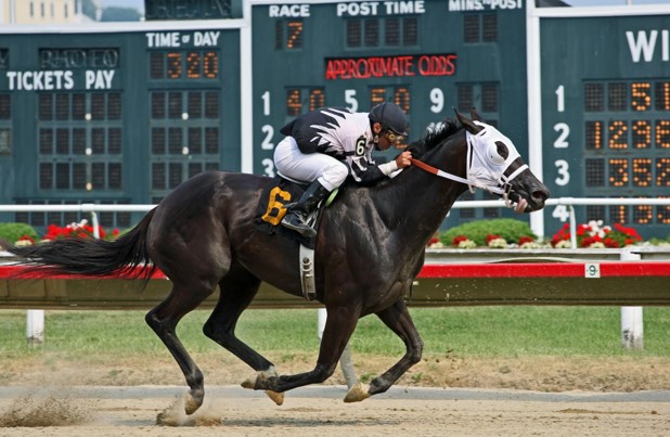 The Tech Behind the Track: Innovations Powering the 2024 Breeders' Cup Races