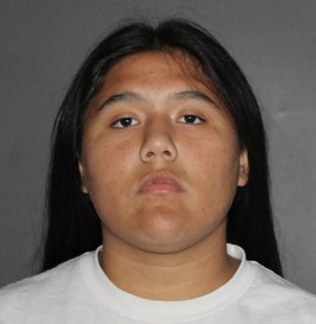 Twin Brother, Four Others Arrested in Ferris Teen Homicide