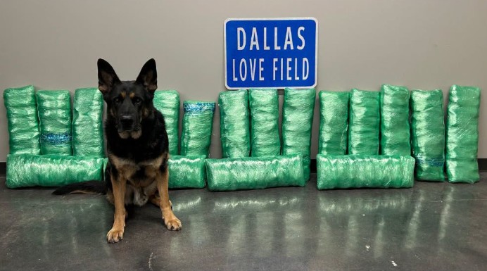 stories/k9-ballantine-dallaspd_1787774956.jpg