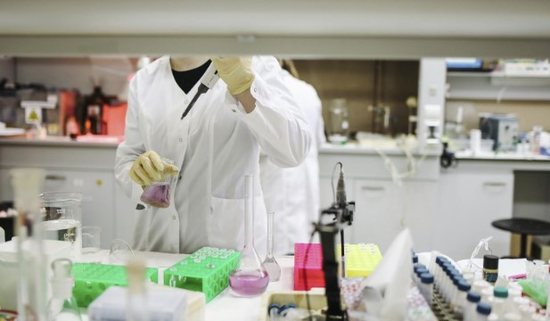 Choosing Between Monoclonal and Polyclonal Antibodies for Your Experiments
