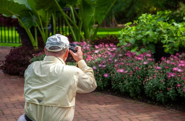 How To Kickstart Your Career In Landscape Design
