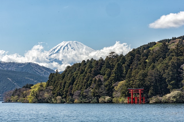 Cherry Blossoms and Ancient Temples: The Soul of Japan