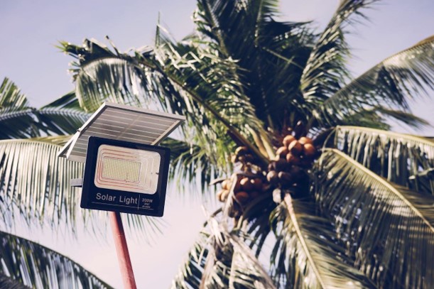 Exploring the Power of Solar Street Lighting