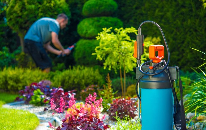 Pest Control for Allergen Prevention: Effective Strategies to Improve Indoor Air Quality