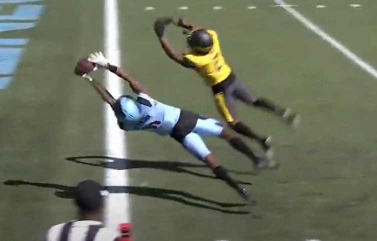 Amazing Touchdown Catch Not Enough as Arlington Renegades Fall to San Antonio Brahmas 15-9