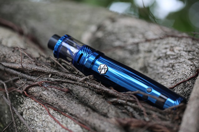 Ways To Get Great Deals On Vape Disposables